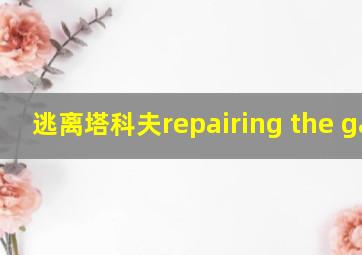 逃离塔科夫repairing the game